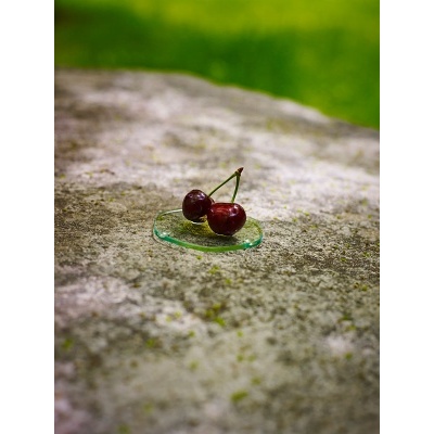 5110_-_small_energy_plate_-_cherry_2