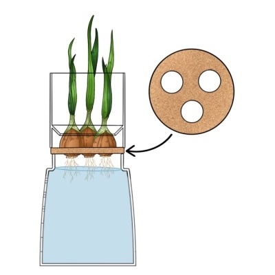 cork_insert_diagram_for_130mm