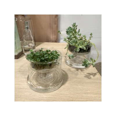 untitled_design_15_415810872