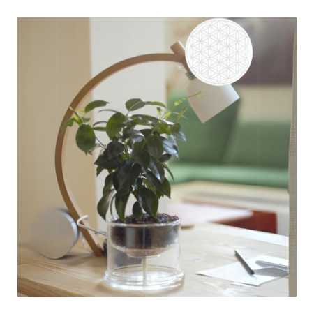 self_watering_pot