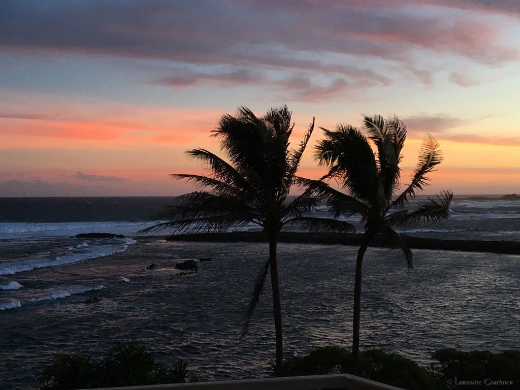 Nature Wind Hawaii