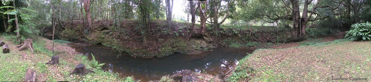 pano nature Crystal Creek