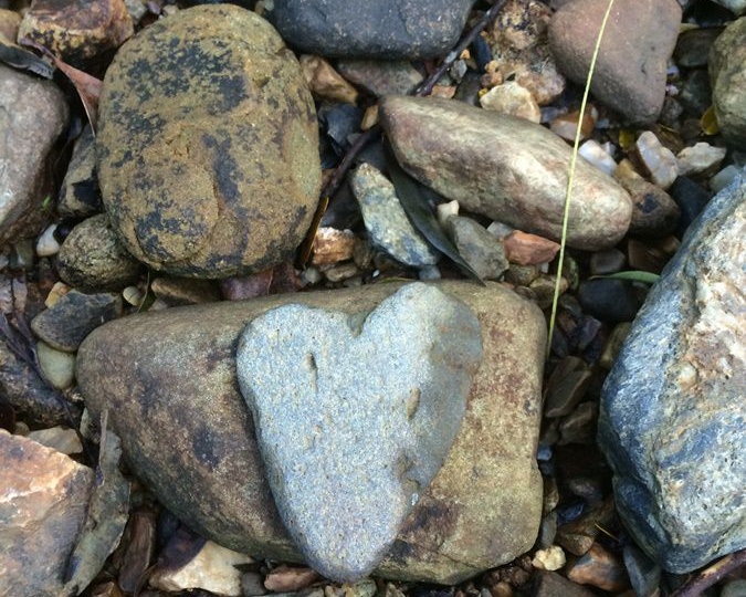 Nature heart