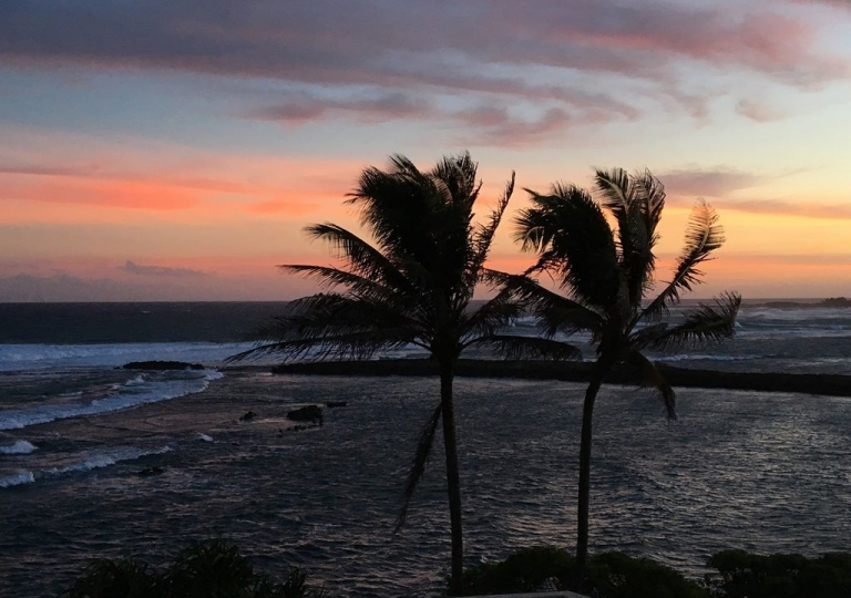 Nature Wind Hawaii